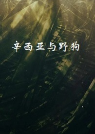 辛西亚与野狗小说